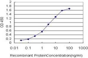 Detection limit for recombinant GST tagged GSTM5 is approximately 0. (GSTM5 antibody  (AA 145-218))
