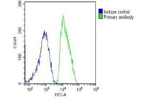 Overlay histogram showing MCF-7 cells stained with Antibody (green line).