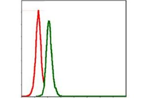 Flow cytometric analysis of MCF-7 cells using SRC monoclonal antobody, clone 1F11  (green) and negative control (red). (Src antibody)