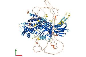 AlphaFold protein structure predicition of Mouse Recombinant Pik3r5 Protein, UniprotID Q5SW28 (PIK3R5 Protein (AA 1-871) (His tag))