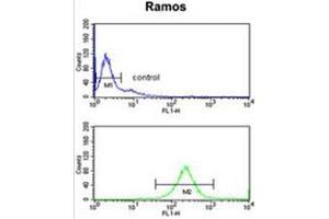 C7 Antibody (Center) flow cytometry analysis of Ramos cells (bottom histogram) compared to a negative control cell (top histogram). (C7 antibody  (Middle Region))