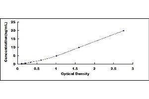 Typical standard curve (CYP2C9 ELISA Kit)