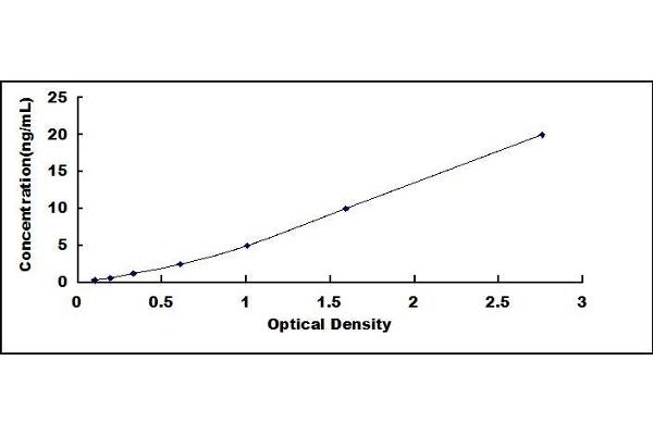 CYP2C9 ELISA Kit