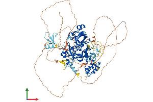 Protein Structure (PS) image for L(3)mbt-Like 3 (L3MBTL3) (AA 1-883) protein (His tag) (ABIN7564387)
