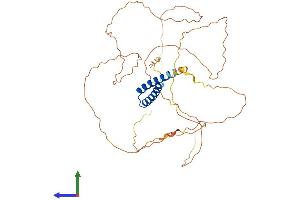 AlphaFold protein structure predicition of Human Recombinant SS18L1 Protein, UniprotID O75177