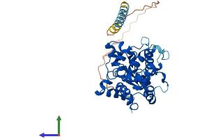 AlphaFold protein structure predicition of Mouse Recombinant Chst10 Protein, UniprotID Q6PGK7 (CHST10 Protein (AA 1-356) (His tag))