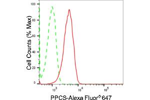 Flow cytometric analysis of PPCS expression in HepG2 cells using PPCS antibody (ABIN7799830), 1:2,000). (Recombinant PPCS antibody)