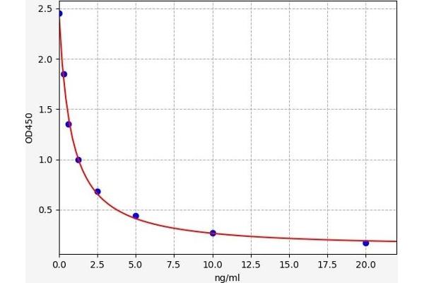 RRM2 ELISA Kit