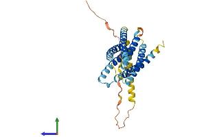 Protein Structure (PS) image for Transmembrane Protein 163 (TMEM163) (AA 1-289) protein (His tag) (ABIN7544450)