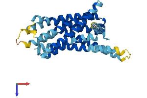 AlphaFold protein structure predicition of Mouse Recombinant Tas2r104 Protein, UniprotID Q7M723 (TAS2R104 Protein (AA 1-302) (His tag))