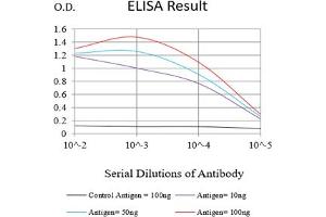 Black line: Control Antigen (100 ng),Purple line: Antigen (10 ng), Blue line: Antigen (50 ng), Red line:Antigen (100 ng) (Cyclin E1 antibody  (AA 1-100))