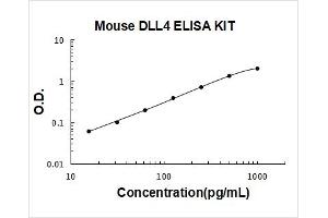 delta-Like 4 (DLL4) ELISA Kit