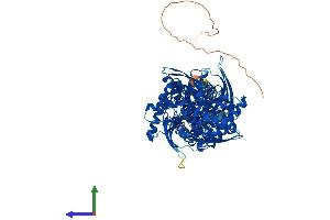 AlphaFold protein structure predicition of Mouse Recombinant Hk1 Protein, UniprotID P17710 (Hexokinase 1 Protein (HK1) (AA 1-974) (His tag))