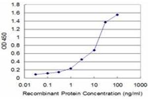 Detection limit for recombinant GST tagged GSTO1 is approximately 0.