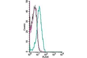 Cell surface detection of Sphingosine 1-phosphate receptor 1 by indirect flow cytometry in live intact human Jurkat T-cell leukemia cells: + goat-anti-rabbit-APC. (S1PR1 antibody  (Extracellular))
