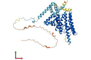 AlphaFold protein structure predicition of Human Recombinant DGAT1 Protein, UniprotID O75907