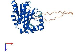 AlphaFold protein structure predicition of Mouse Recombinant Nat9 Protein, UniprotID Q3UG98