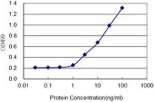Sandwich ELISA detection sensitivity ranging from 0.