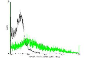 FACS analysis of negative control 293 cells (Black) and GPR56 expressing 293 cells (Green) using GPR56 purified MaxPab mouse polyclonal antibody. (GPR56 antibody  (AA 1-693))
