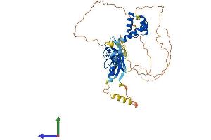 AlphaFold protein structure predicition of Human Recombinant LHX2 Protein, UniprotID P50458