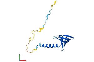 Protein Structure (PS) image for Gem (Nuclear Organelle) Associated Protein 7 (GEMIN7) (AA 1-129) protein (His tag) (ABIN7560695)