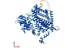 Protein Structure (PS) image for Acyl-CoA Oxidase 1, Palmitoyl (ACOX1) (AA 1-660) protein (His tag) (ABIN7551946)