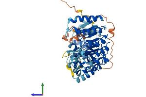 AlphaFold protein structure predicition of Human Recombinant PRAMEF22 Protein, UniprotID A3QJZ6 (PRAMEF22 Protein (AA 1-481) (His tag))