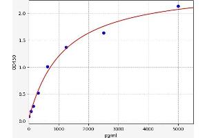 Typical standard curve (XAF1 ELISA Kit)