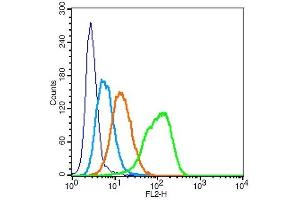 Human U937 cells probed with Integrin alpha L/CD11a Antibody, Unconjugated  at 1:100 for 30 minutes followed by incubation with a PE Conjugated secondary (green) for 30 minutes compared to control cells (blue), secondary only (light blue) and isotype control (orange). (ITGAL antibody  (AA 251-350))