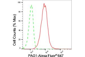 Flow cytometric analysis of PAG1 expression in HT- cells using PAG1 antibody (ABIN7799831), 1:2,000).