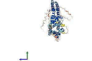 AlphaFold protein structure predicition of Human Recombinant KCNA6 Protein, UniprotID P17658 (Kv1.6/KCNA6 Protein (AA 1-529) (His tag))