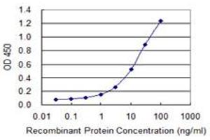 Detection limit for recombinant GST tagged OIP5 is 0. (OIP5 antibody  (AA 1-229))