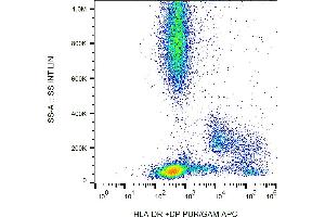 Flow cytometry analysis (surface staining) of human peripheral blood with anti-HLA-DR+DP (HL-38) PE. (HLA-DP/DR antibody)