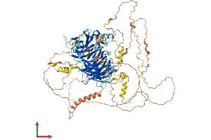 AlphaFold protein structure predicition of Human Recombinant BCAS3 Protein, UniprotID Q9H6U6