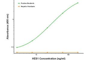 ELISA image for anti-Hes Family bHLH Transcription Factor 1 (HES1) antibody (ABIN2722654) (HES1 antibody)