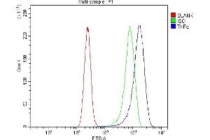 anti-Tumor Necrosis Factor alpha (TNF alpha) (AA 201-233), (C-Term) antibody