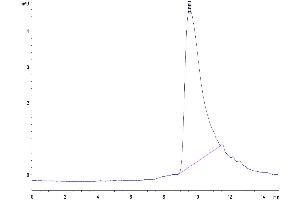 The purity of Biotinylated Mouse IL-2 is greater than 95 % as determined by SEC-HPLC. (IL-2 Protein (AA 21-169) (His-Avi Tag,Biotin))