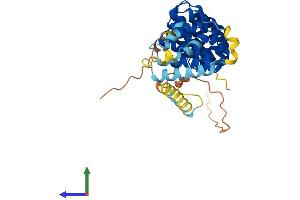 Protein Structure (PS) image for Armadillo Repeat Containing, X-Linked 3 (ARMCX3) (AA 1-379) protein (His tag) (ABIN7558655)