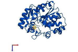AlphaFold protein structure predicition of Mouse Recombinant Sult1d1 Protein, UniprotID Q3UZZ6