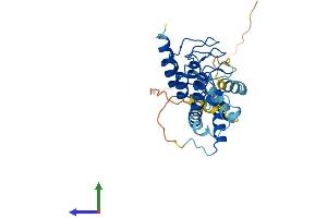 AlphaFold protein structure predicition of Mouse Recombinant Acbd6 Protein, UniprotID Q9D061
