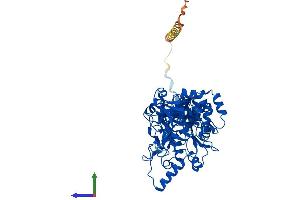 AlphaFold protein structure predicition of Human Recombinant GALNT12 Protein, UniprotID Q8IXK2