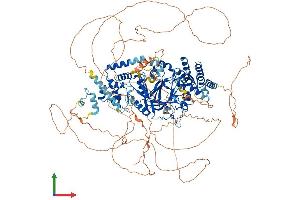 AlphaFold protein structure predicition of Human Recombinant JARID2 Protein, UniprotID Q92833