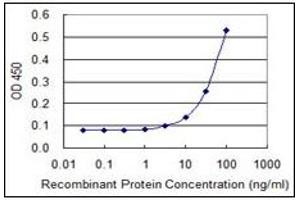 ELISA image for anti-Chymotrypsin-Like Elastase Family, Member 1 (CELA1) antibody (ABIN782309) (CELA1 antibody)