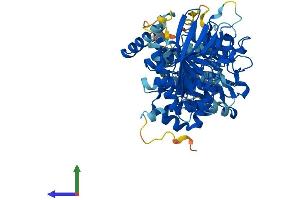 AlphaFold protein structure predicition of Mouse Recombinant Ptpn9 Protein, UniprotID O35239 (PTPN9 Protein (AA 1-593) (His tag))