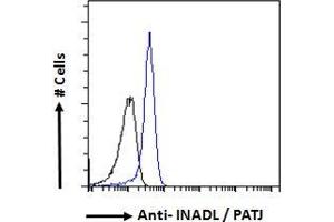 ABIN185139 Flow cytometric analysis of paraformaldehyde fixed A431 cells (blue line), permeabilized with 0. (PATJ antibody  (N-Term))