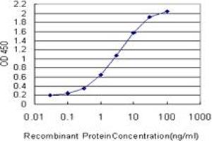 Detection limit for recombinant GST tagged TRIB2 is approximately 0. (TRIB2 antibody  (AA 254-343))