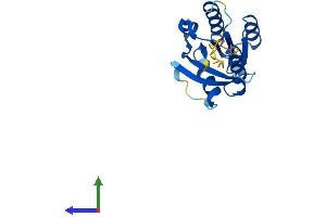 Protein Structure (PS) image for NFKB Inhibitor Interacting Ras-Like 1 (NKIRAS1) (AA 1-192) protein (His tag) (ABIN7548730)