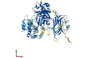 AlphaFold protein structure predicition of Human Recombinant CAPN14 Protein, UniprotID A8MX76 (Calpain 14 Protein (CAPN14) (AA 1-684) (His tag))