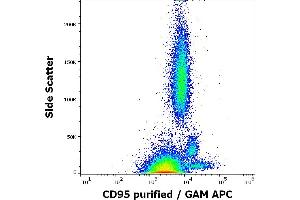 Flow cytometry surface staining pattern of human peripheral whole blood stained using anti-human CD95 (LT95) purified antibody (concentration in sample 2 μg/mL) GAM APC. (FAS antibody)