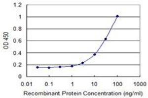 Detection limit for recombinant GST tagged DCK is 1 ng/ml as a capture antibody. (DCK antibody  (AA 161-260))